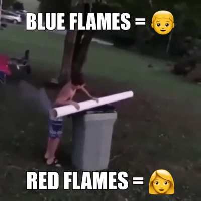 gender reveal 😩