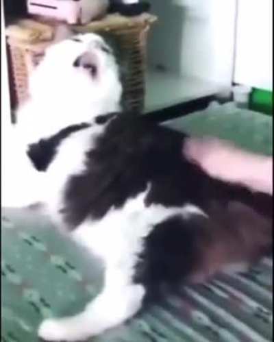 CUTE
