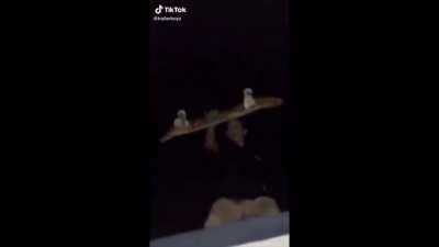 Nice trick