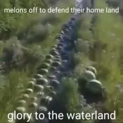 Sorry for getting too political 😫😫🥱😴