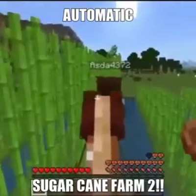 Nova Farm do Vinícius 13