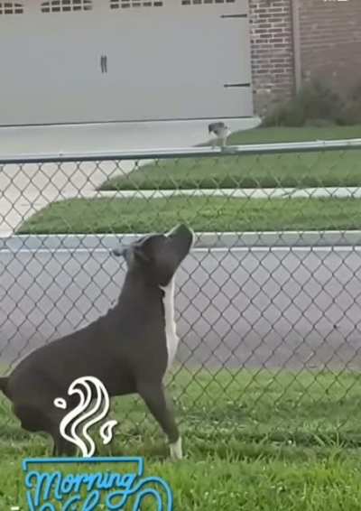 WCGW being friendly