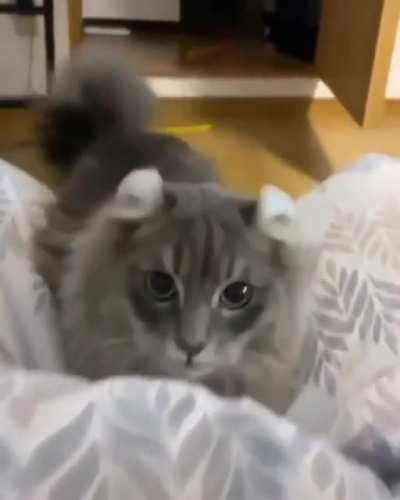 Get those toes!!