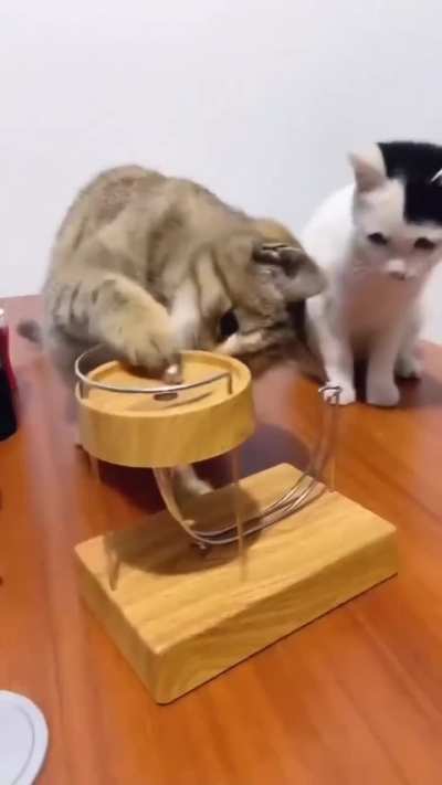 Catch me if you can