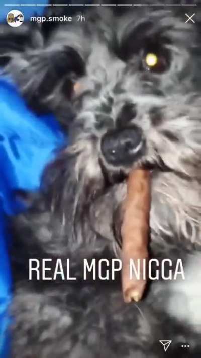 Lmfao