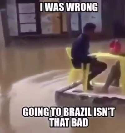 Bruhzil