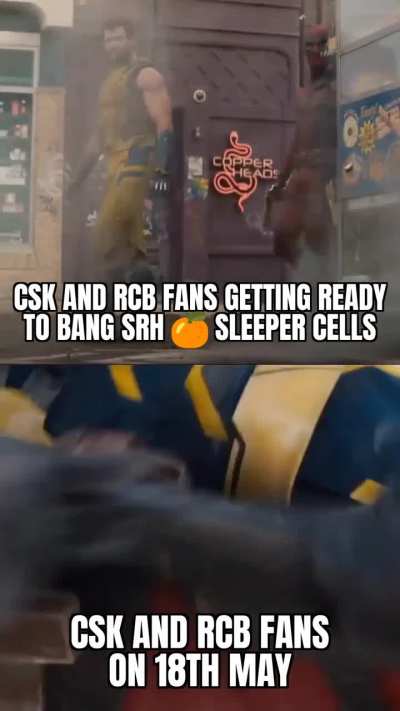 🍊 Sleeper cells