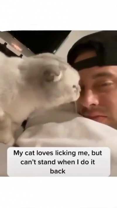 cåt