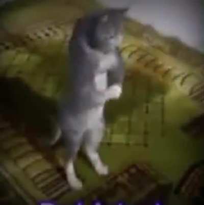Trus me uwu 7u7