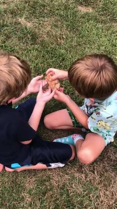 My kids will finally catch a toad w/o ol Moms help...well, one will