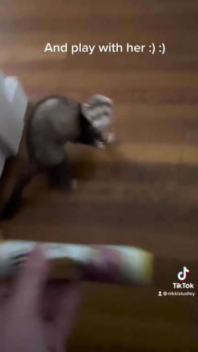 ntbdbiwdfta