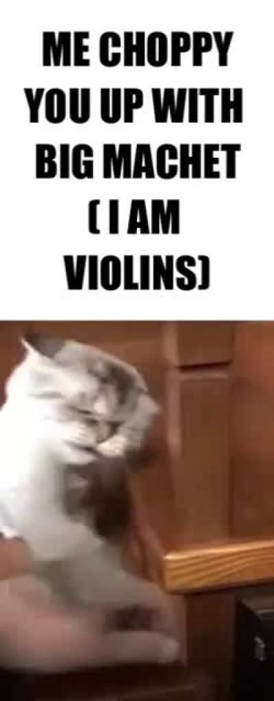 violinist