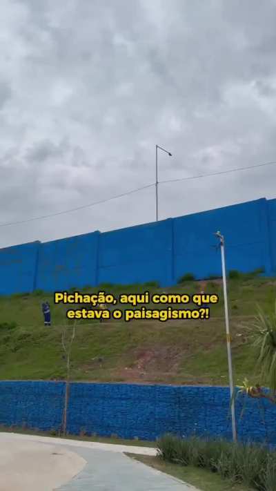O PROBLEMA É O BRASILEIRO.