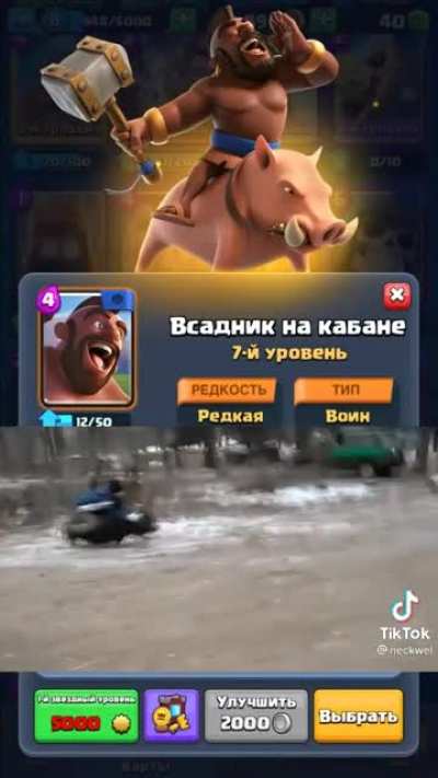 😀👍shitpo