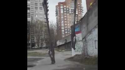 cursed_tripod