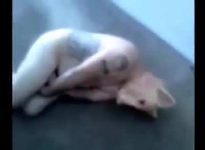 cursed_