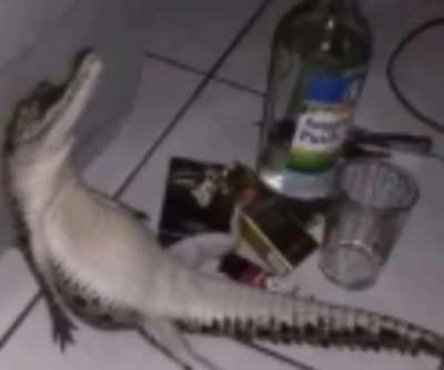 Yo también pongo mi aporte de música