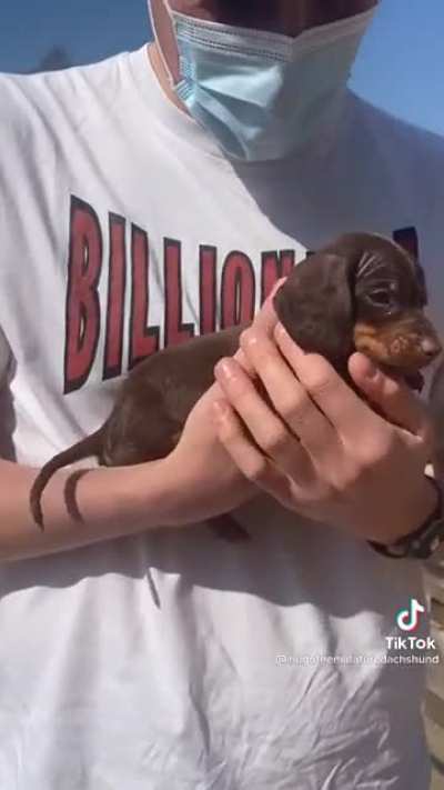 So small