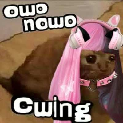 owo nowo いつだって いつだって