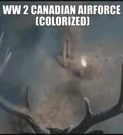 deeroplane