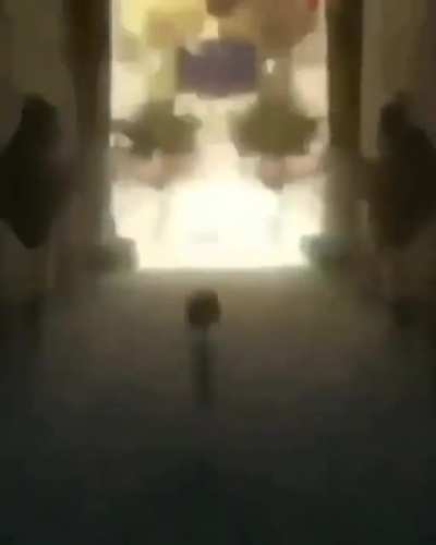 Fnaf 3 comfirm??