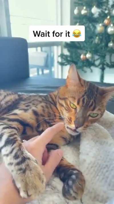 I have to bite something