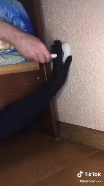 Socket ghost