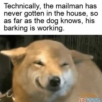 happy dog noises