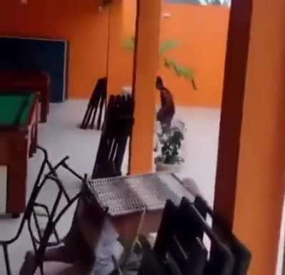 PORRA MIGUEL FDP