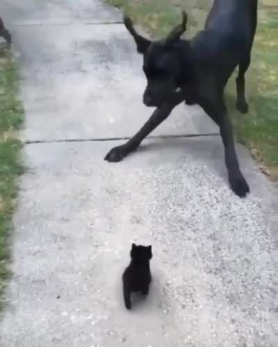 Why are you so small?