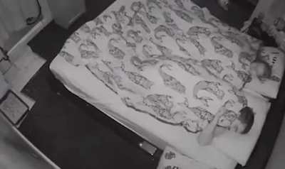 Trying to sleep with a loose rabbit in the house....