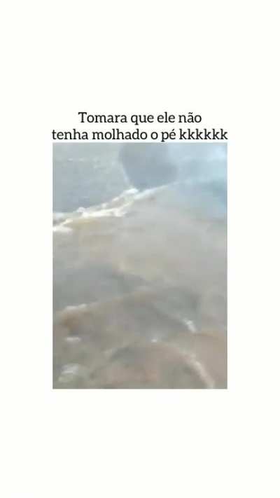 boa ideia