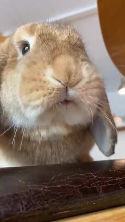 Sound on for banana chews