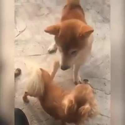 Maybe Maybe Maybe