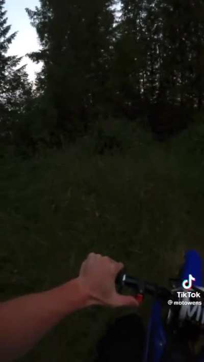 The Rake / Wendigo?