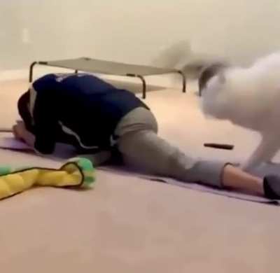 Working the booty.