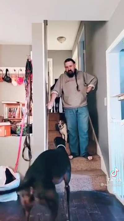 You Seeing This Shit? He put pants on!