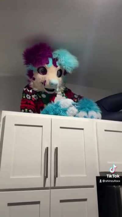 Furry_irl