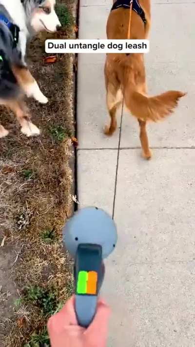 Dual retractable dog leash