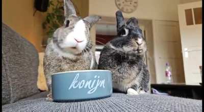 Bwekfast
