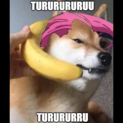 Moshi moshi