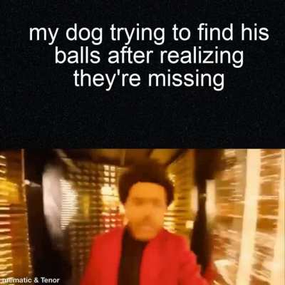 my sister didnt find them either ;-;