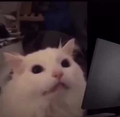 Ueee