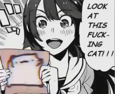 Otro gato con el mismo temazo rubiusDR