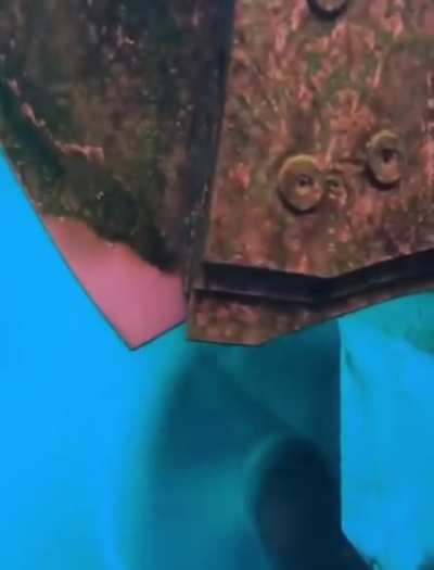submechanophobia
