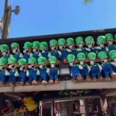 luigi