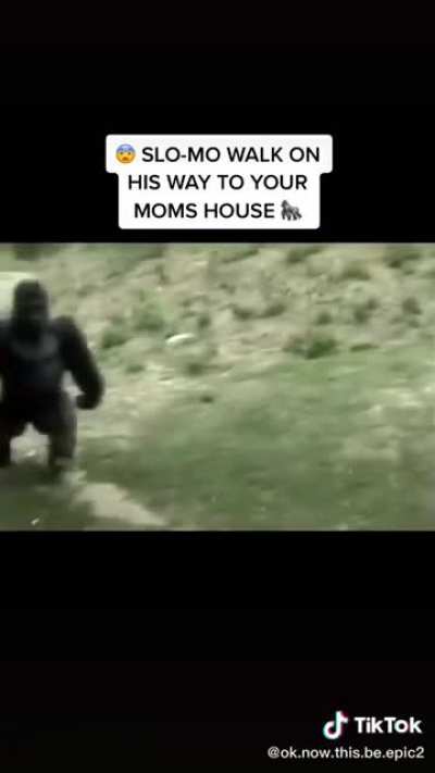 Monky flip😹😹😹😹😹😹😹😹😹😹😹😹😹😹😹😹😹😍funny😍😍😹😹😹😹😹😹😹😹😹😹😹👍👍👍