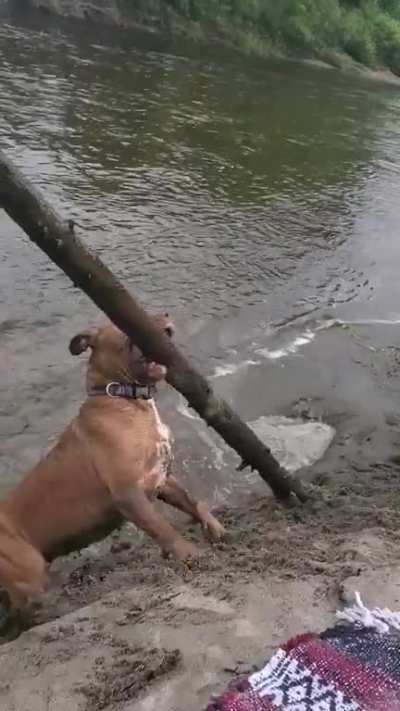 Shes very proud!