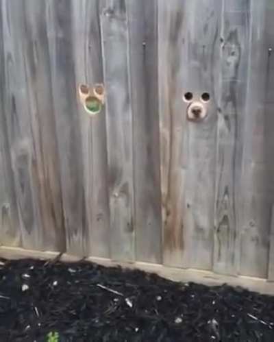 they’re watching