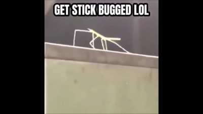 A dev made this in the discord